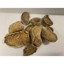 Konjac Korzeń Plastry Korzenia Dziwidła (amorphophallus Konjac) 100 G